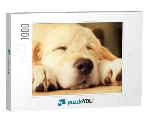 Cute Golden Retriever Puppy Taking a Nap... Jigsaw Puzzle with 1000 pieces