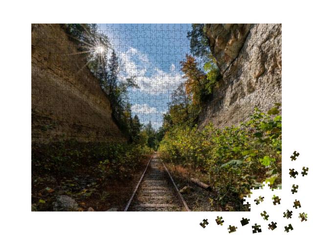 A Section of the Decommissioned Railroad At the Madison H... Jigsaw Puzzle with 1000 pieces