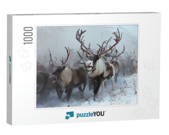 Reindeer on a Background of Snow & Forest... Jigsaw Puzzle with 1000 pieces