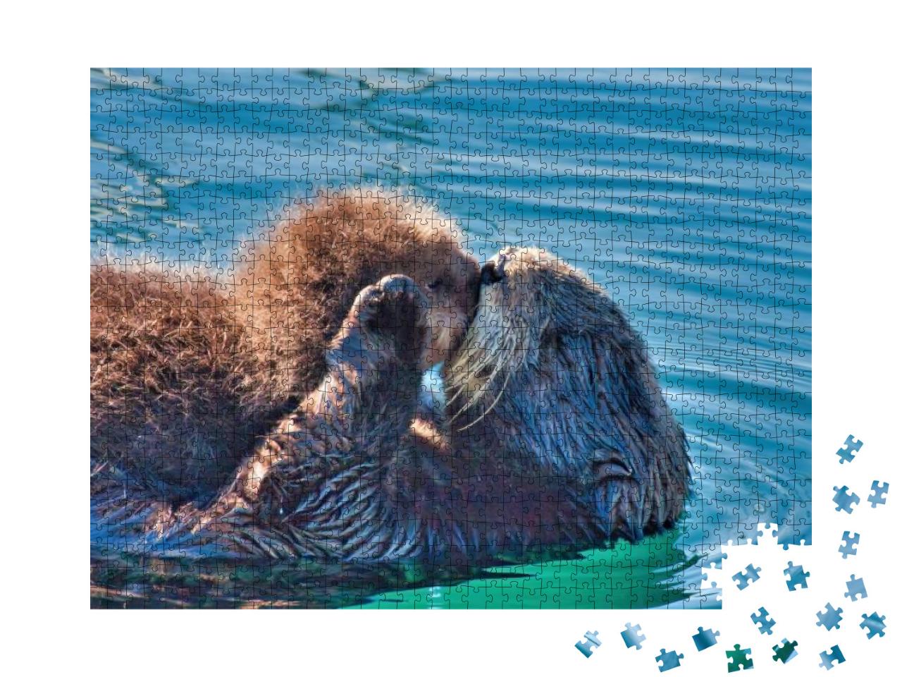 Mother Sea Otter Kissing Her Baby on the Lips... Jigsaw Puzzle with 1000 pieces