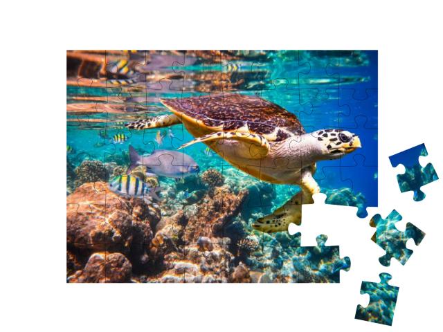 Hawksbill Turtle - Eretmochelys Imbricata Floats Under Wa... Jigsaw Puzzle with 48 pieces