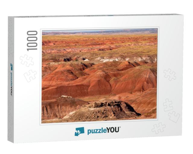 Petrified Forest National Park is in Northeastern Arizona... Jigsaw Puzzle with 1000 pieces