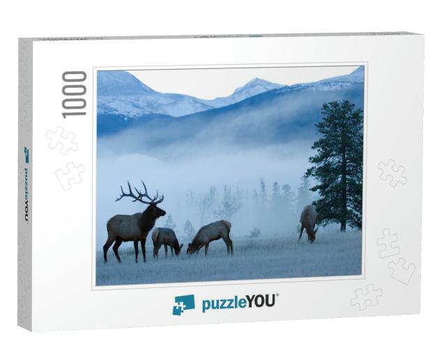 Rocky Mountain Bull Elk & Cows, Frosty Morning... Jigsaw Puzzle with 1000 pieces