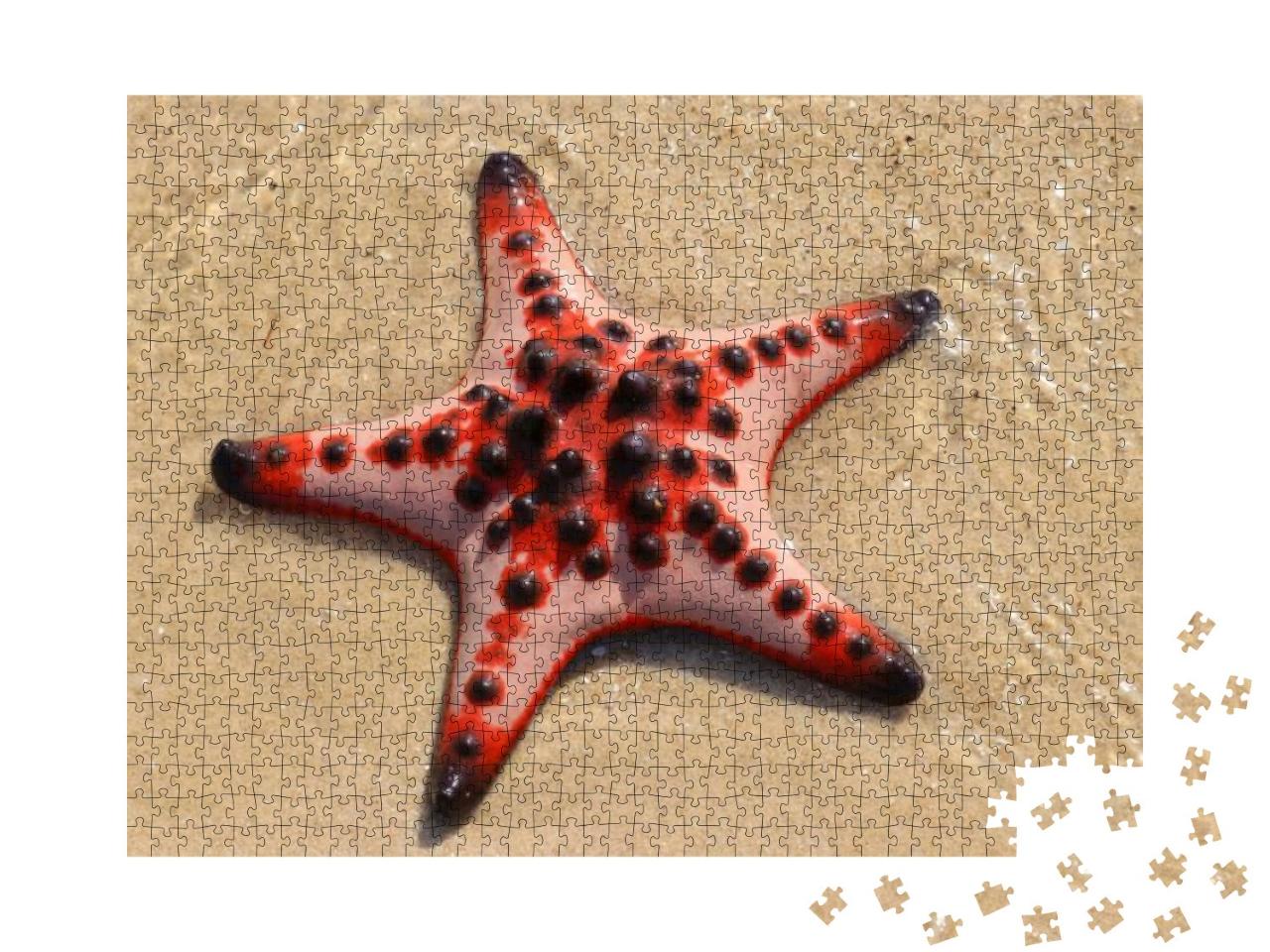 Red Starfish on White Sand on Sunny Tropical Beach. View... Jigsaw Puzzle with 1000 pieces