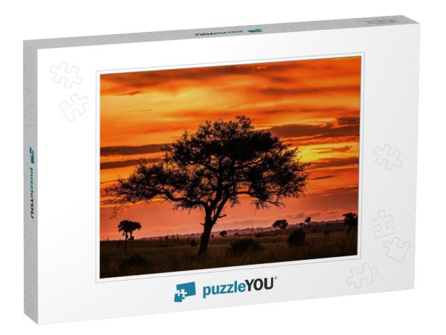 Stunning Sky At Dawn & an Odd Tree in the Savannah. Sunse... Jigsaw Puzzle