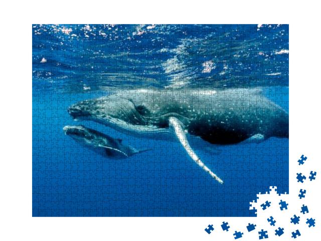 Humpback Whales Pacific Ocean... Jigsaw Puzzle with 1000 pieces
