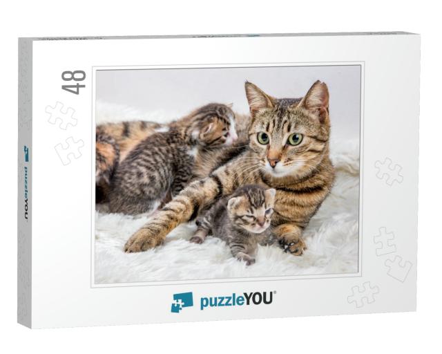 Mom Mother Cat & Baby Cat Kitten... Jigsaw Puzzle with 48 pieces