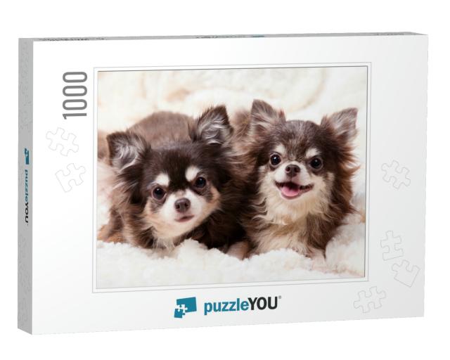 Funny Chihuahua Dog, Two Chihuahua Dogs Lying on a Blanke... Jigsaw Puzzle with 1000 pieces