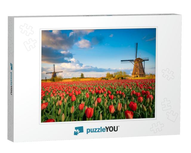 Beautiful Dutch Scenery with Traditional Windmills & Tuli... Jigsaw Puzzle