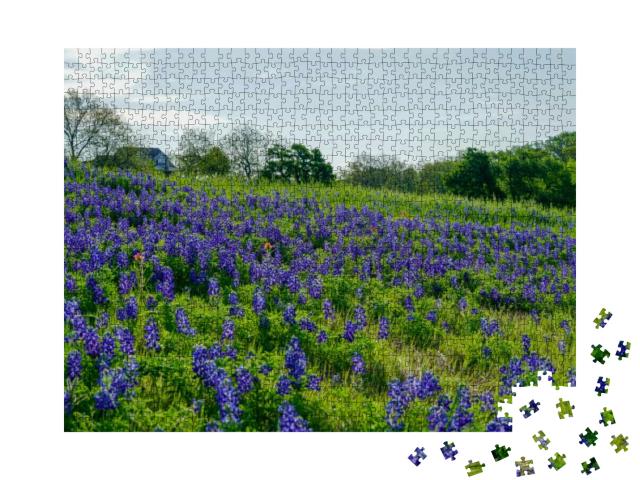 View of Bluebonnet Wildflowers Along Countryside Near the... Jigsaw Puzzle with 1000 pieces