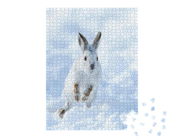 White Snowshoe Hare Running on Snow in Winter... Jigsaw Puzzle with 1000 pieces