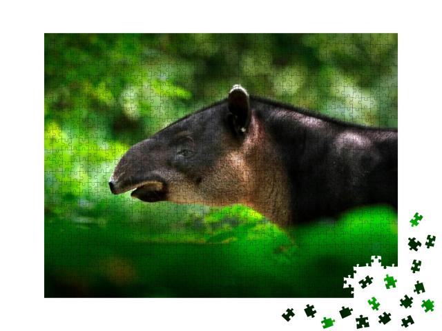 Tapir in Nature. Central America Baird's Tapir, Tapirus B... Jigsaw Puzzle with 1000 pieces