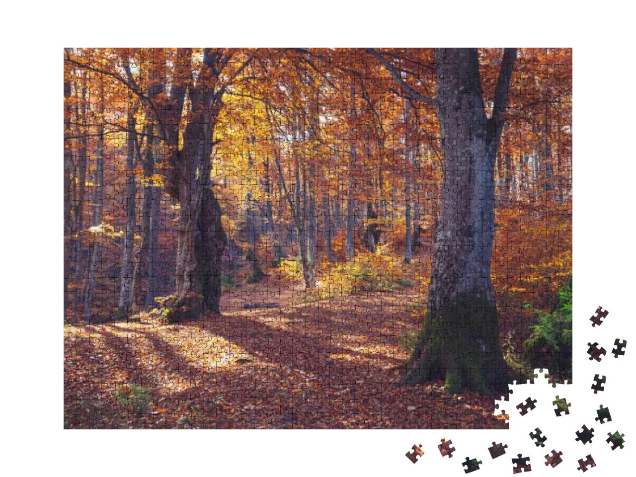 Autumn Forest Nature. Vivid Morning in Colorful Forest wi... Jigsaw Puzzle with 1000 pieces