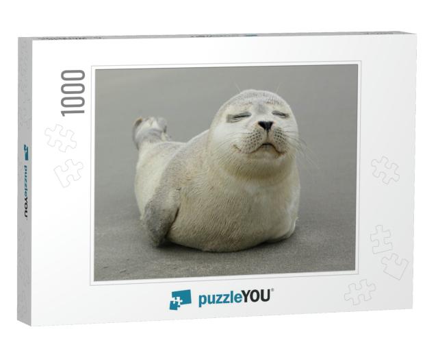 A Young Grey Seal Pup That's a Total Show-Off, One with S... Jigsaw Puzzle with 1000 pieces