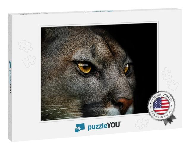 Close-Up of Cougar. Detail Portrait American Puma. Poster... Jigsaw Puzzle