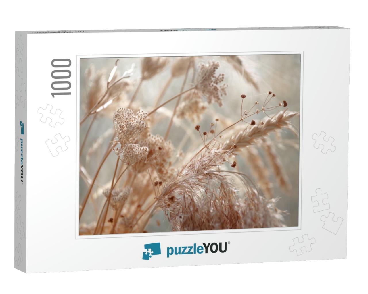 Dried Wild Carrot Flowers Together with Dried Grass & Spi... Jigsaw Puzzle with 1000 pieces