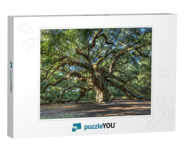 The Magical Angel Oak Tree in Charleston South Carolina... Jigsaw Puzzle