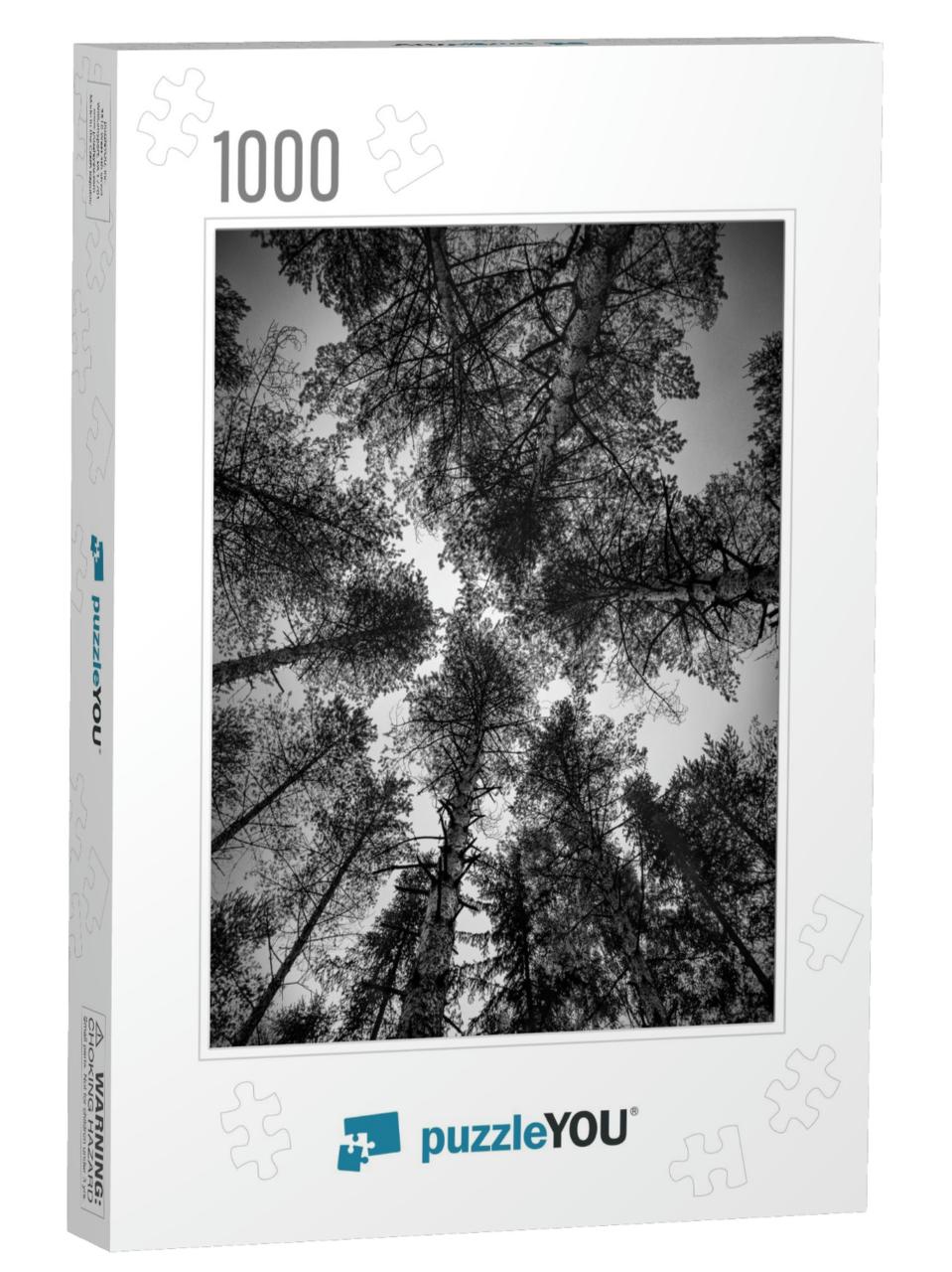 Fine Art, Black & White Landscape Images with Lonely Tree... Jigsaw Puzzle with 1000 pieces