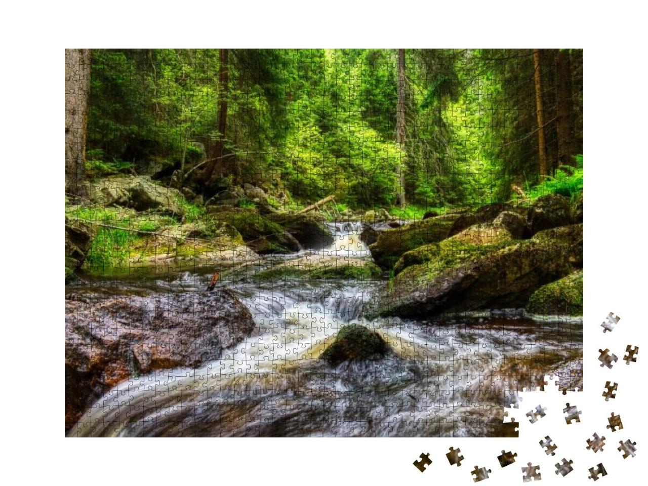 River in the Ore Mountains... Jigsaw Puzzle with 1000 pieces