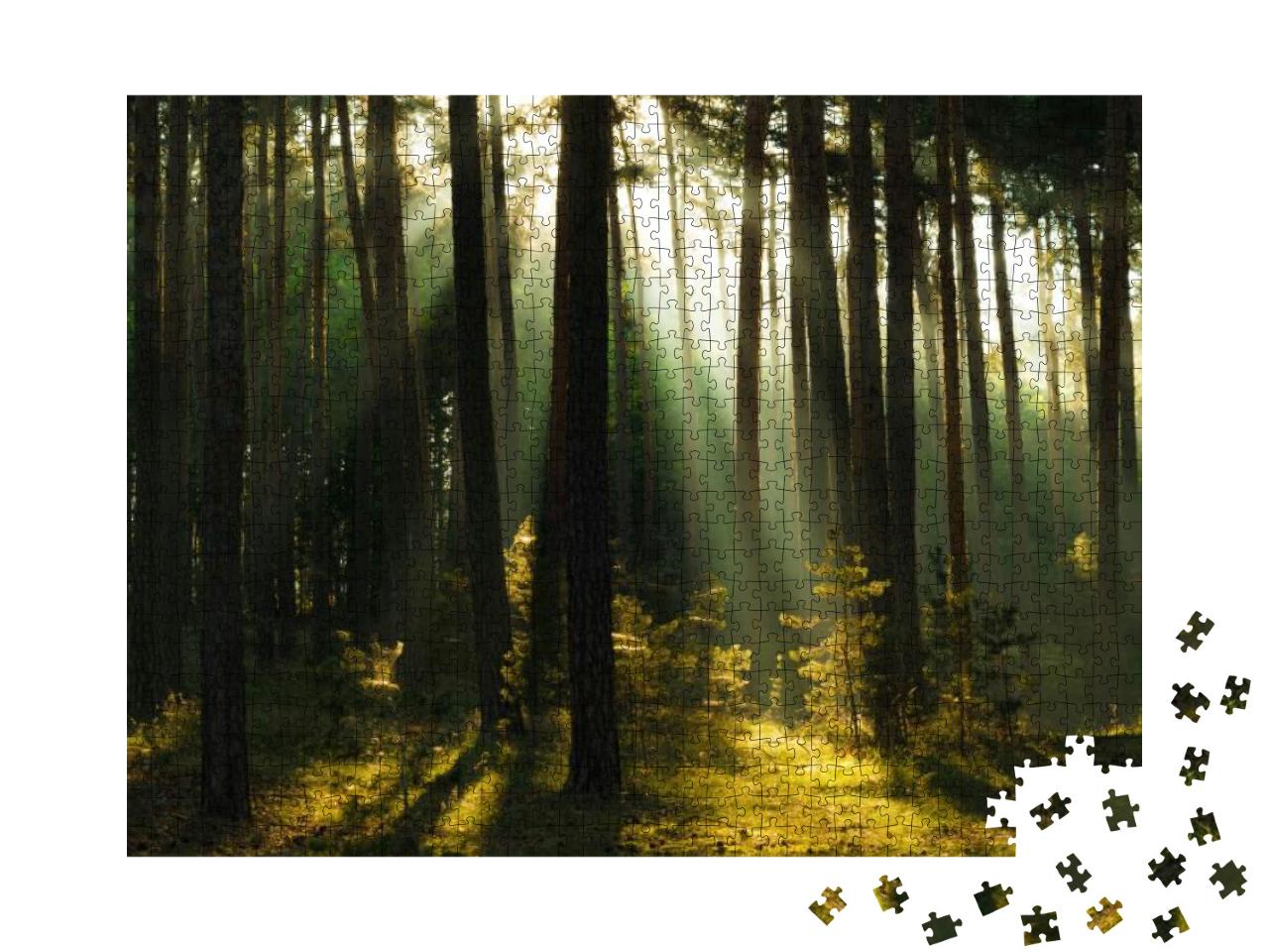 Sunrays in a Forest in the Harz Mountains of Germany... Jigsaw Puzzle with 1000 pieces