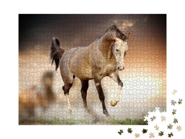 Arab Stallion in Sunset... Jigsaw Puzzle with 1000 pieces