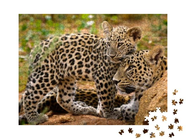 Leopard Mom & Her Cub... Jigsaw Puzzle with 1000 pieces