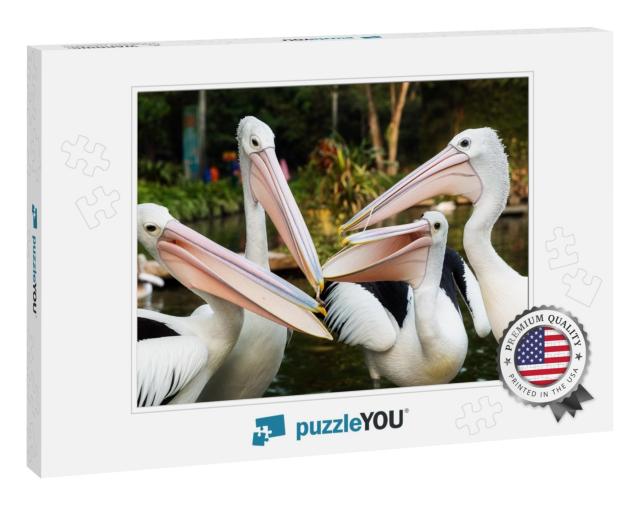 The Great White Pelican Pelecanus Onocrotalus Aka the Eas... Jigsaw Puzzle