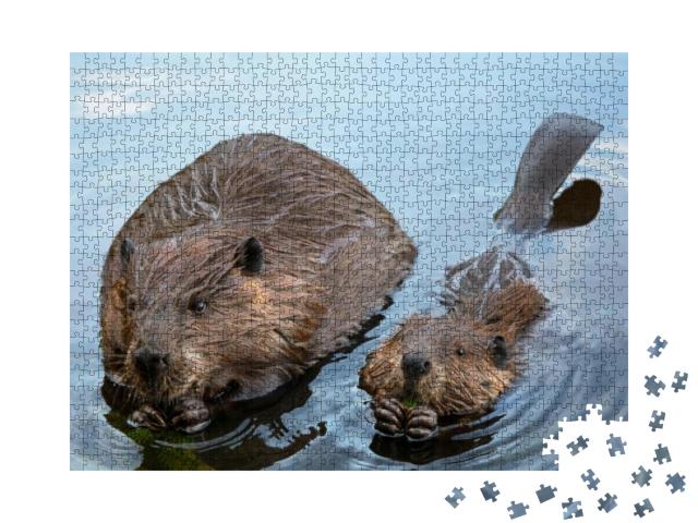 Momma & Baby Beaver Chewing Branches... Jigsaw Puzzle with 1000 pieces
