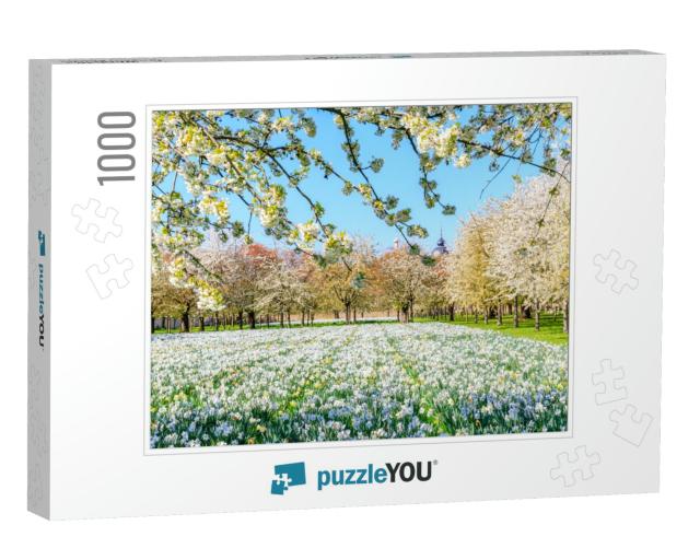 Sakura Cherry White Blossoms. Wonderful Scenic Park with... Jigsaw Puzzle with 1000 pieces