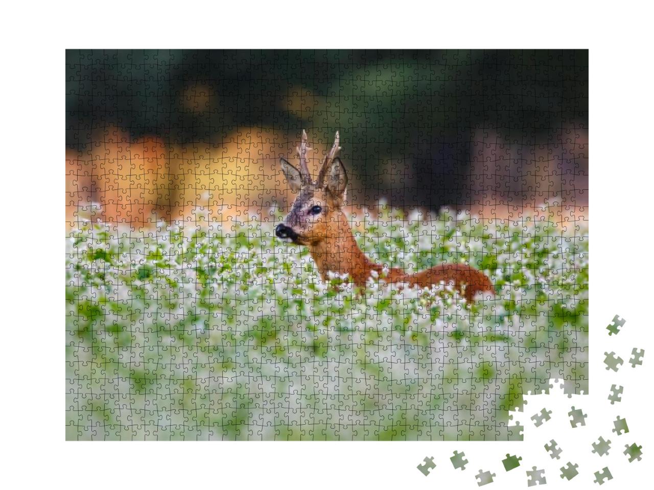 Roe Deer in a Field of Flowers... Jigsaw Puzzle with 1000 pieces