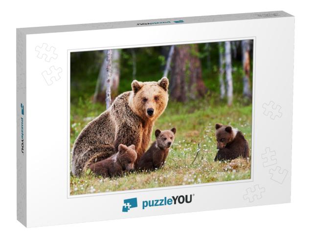 Brown Mother Bear Protecting Her Cubs in a Finnish Forest... Jigsaw Puzzle