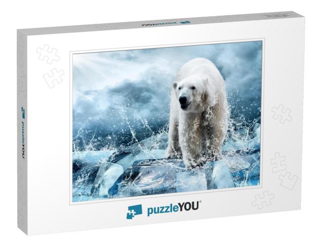 White Polar Bear Hunter on the Ice in Water Drops... Jigsaw Puzzle