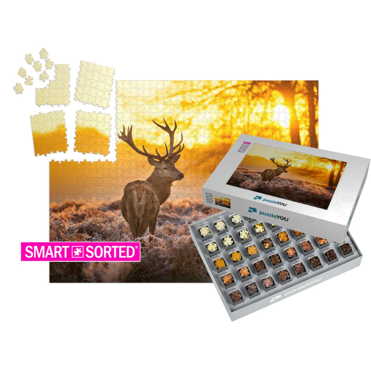 Red Deer in Morning Sun... | SMART SORTED® | Jigsaw Puzzle with 1000 pieces