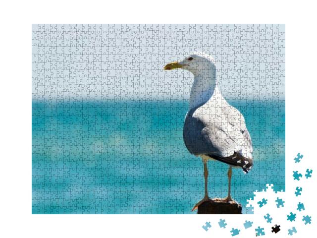 Seagull Portrait Against Sea Shore. Close Up View of Whit... Jigsaw Puzzle with 1000 pieces