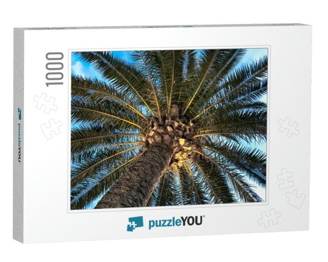 Palm Tree, View from Below. Travel Background with Palm T... Jigsaw Puzzle with 1000 pieces