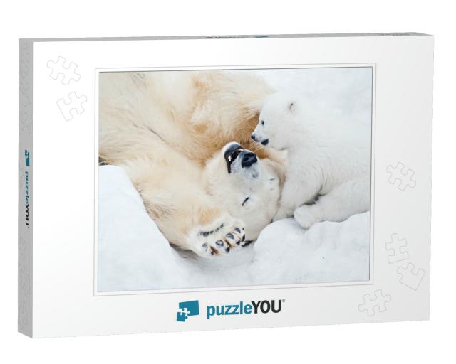 Female Polar Bear Playing with Her Little Cub on the Snow... Jigsaw Puzzle
