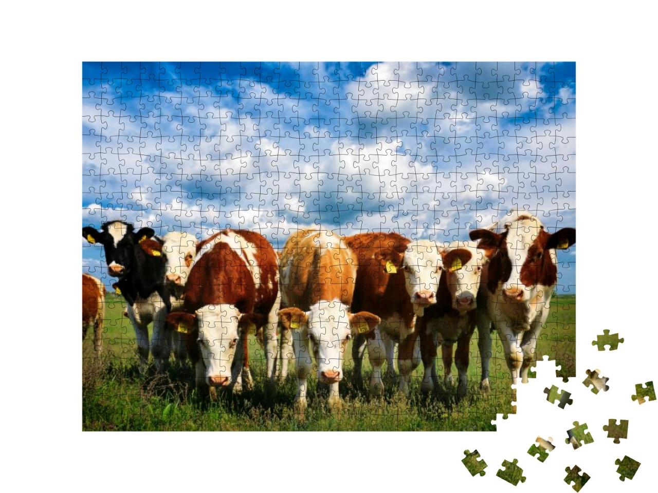 Cows on a Green Summer Meadow... Jigsaw Puzzle with 500 pieces