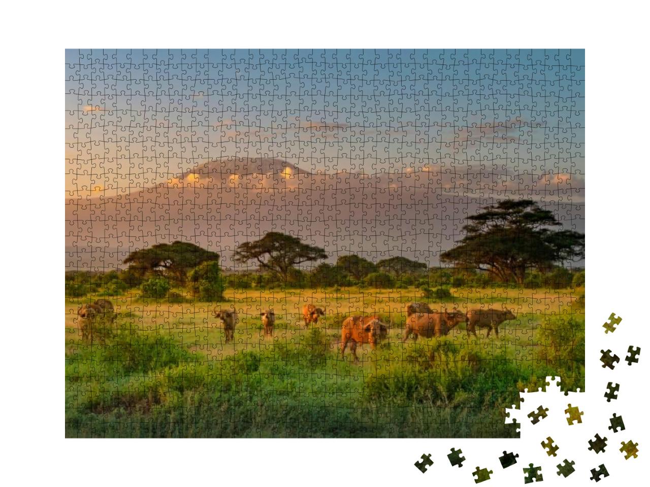 Mount Kilimanjaro in Morning Light, Amboseli, Kenya... Jigsaw Puzzle with 1000 pieces