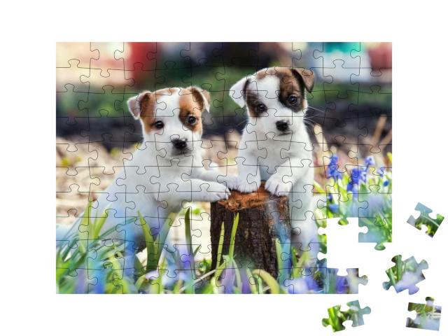 Two White Puppy Jack Russell Terrier Standing on Tree Stu... Jigsaw Puzzle with 100 pieces