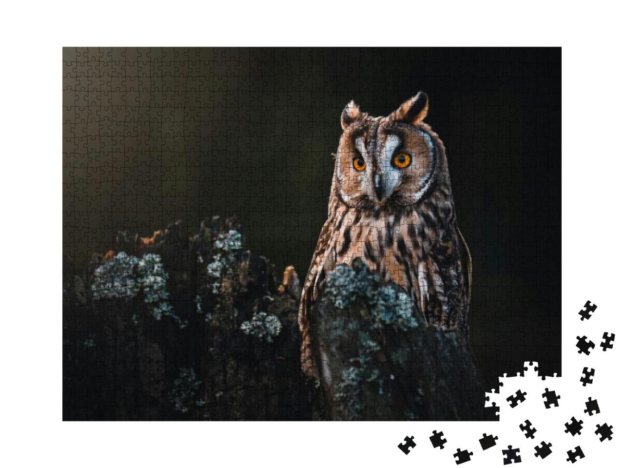 Long-Eared Owl Asio Otus Sitting on Dry Tree. Beautiful O... Jigsaw Puzzle with 1000 pieces