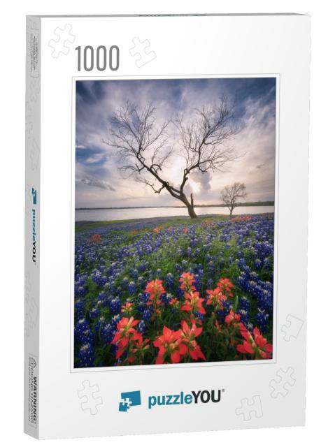 Wild Flower Bluebonnet in Ennis City, Texas, USA , Sunset... Jigsaw Puzzle with 1000 pieces