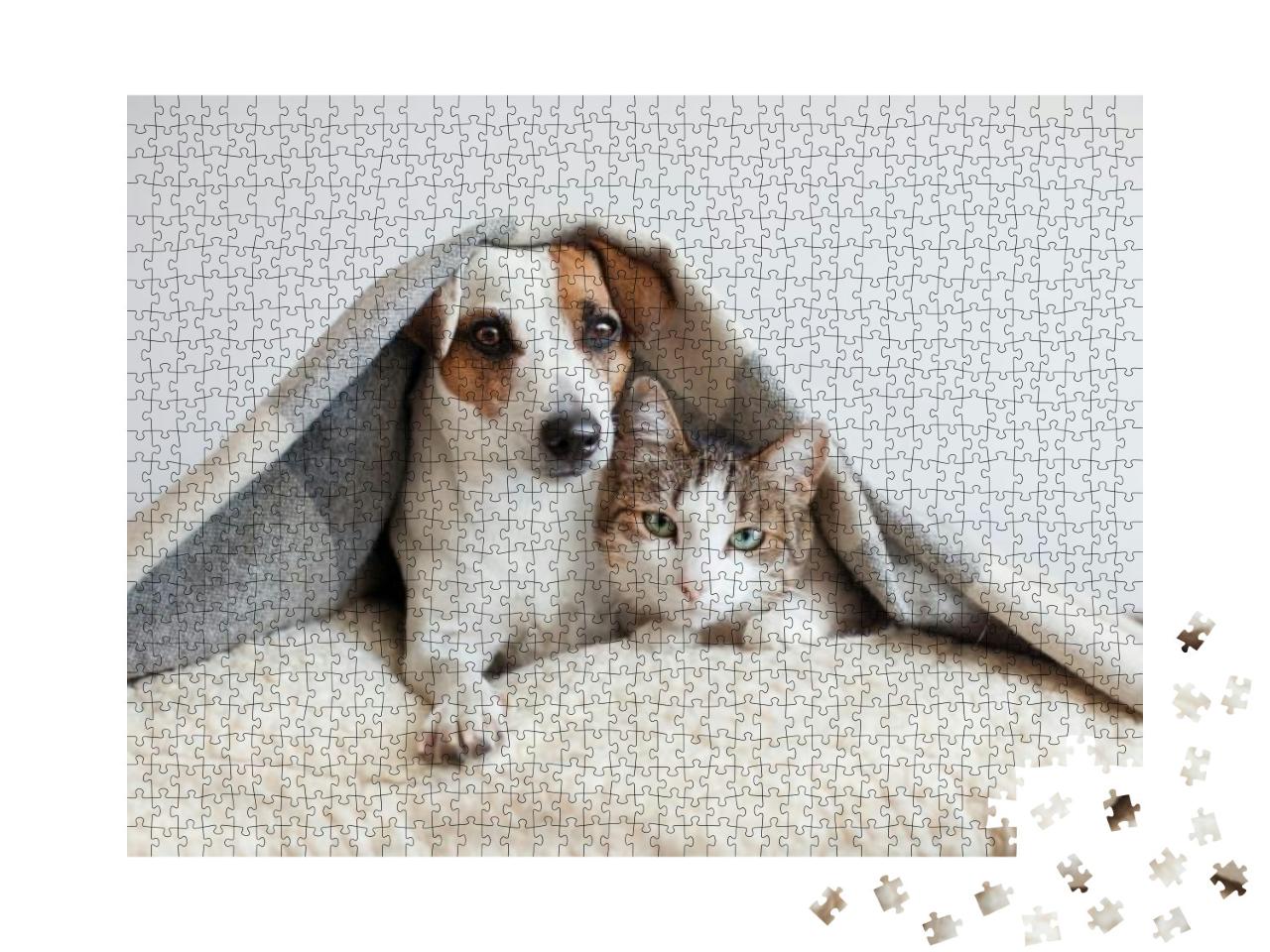 Dog & Cat Together. Dog Hugs a Cat Under the Rug At Home... Jigsaw Puzzle with 1000 pieces