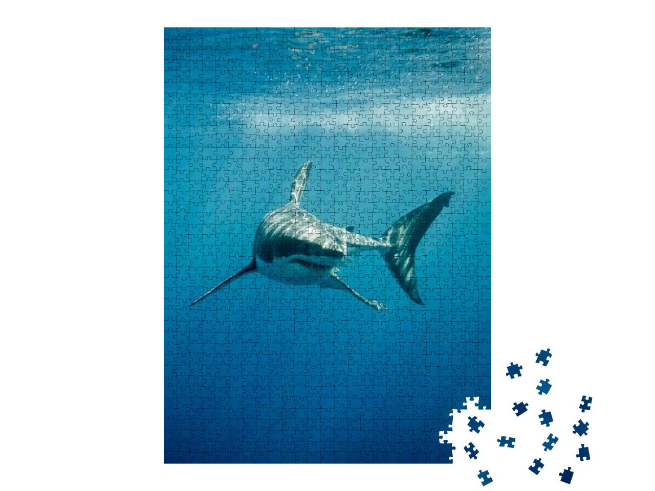 Great White Shark with Its Main Four Fins Swimming Under... Jigsaw Puzzle with 1000 pieces
