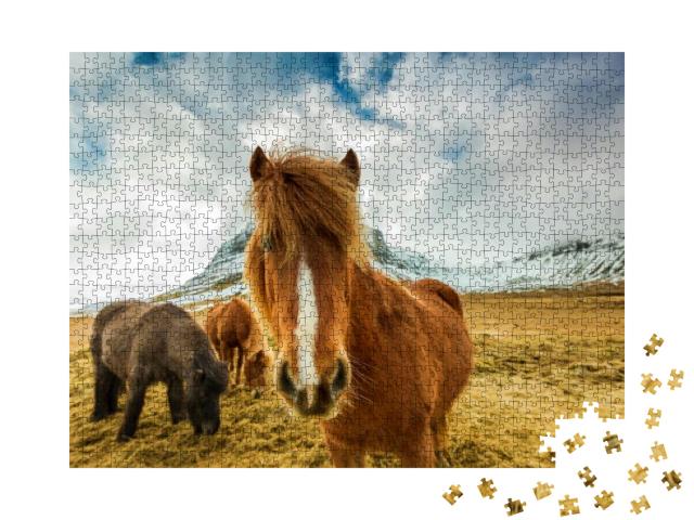 Horses in the Mountains in Iceland... Jigsaw Puzzle with 1000 pieces