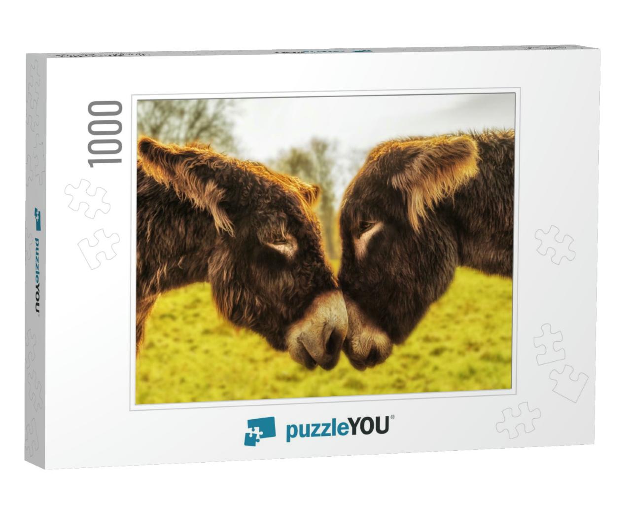A Pair of Donkeys Looks Into Their Eyes... Jigsaw Puzzle with 1000 pieces