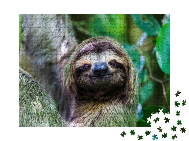 Sloth, Manuel Antonio National Park, Costa Rica, Central... Jigsaw Puzzle with 1000 pieces