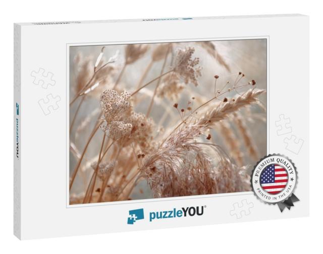 Dried Wild Carrot Flowers Together with Dried Grass & Spi... Jigsaw Puzzle