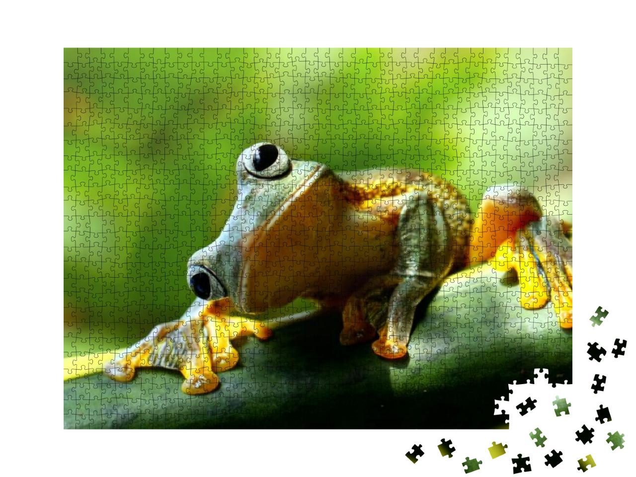 Frog... Jigsaw Puzzle with 1000 pieces
