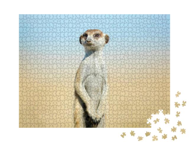 Meerkat on Patrol... Jigsaw Puzzle with 1000 pieces