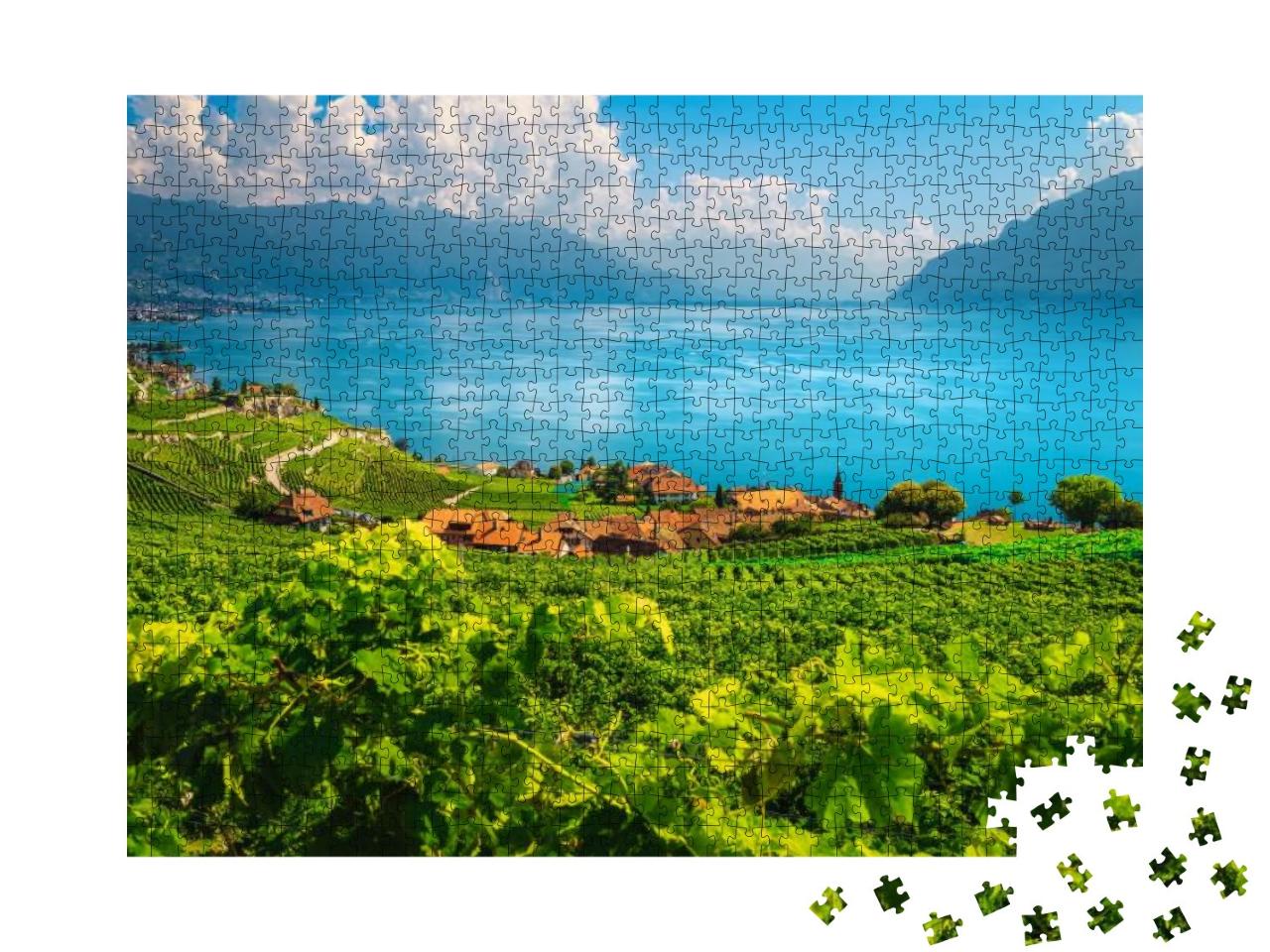 Picturesque Vineyards on the Slopes Near Rivaz Village. B... Jigsaw Puzzle with 1000 pieces